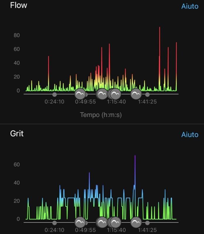 Garmin funzioni