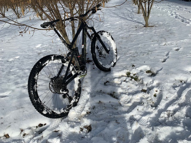 conservare la emtb in inverno